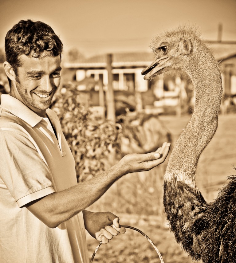 familia,avestruz,mallorca,family,activities,ostrich